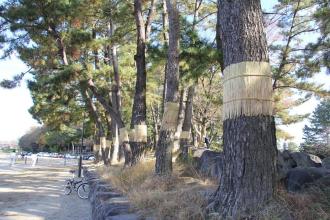 【写真】作業後の風景