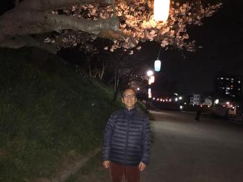 夜桜